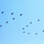 Čínske bojové vrtuľníky vytvárajú číslicu 70 pri čínskej vlajke počas obrovskej vojenskej prehliadky pri príležitosti 70. výročia porážky Japonska v druhej svetovej vojne
