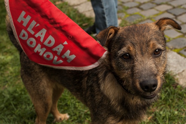 Foto:TASR-Andrej Galica