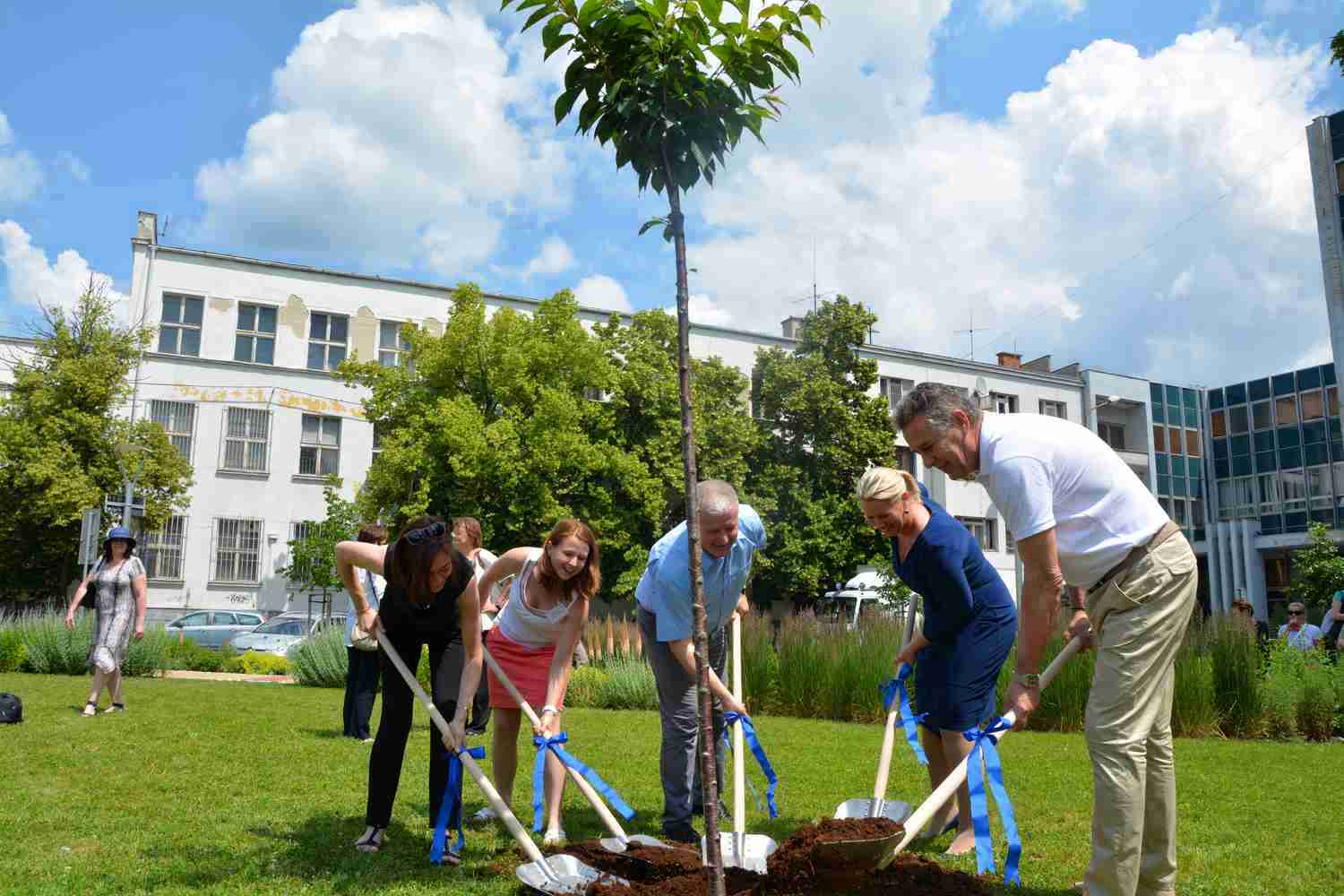 Partnerstvo v synagoge