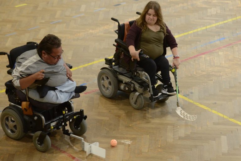 komisár, zdravotné postihnutie, kompetencie