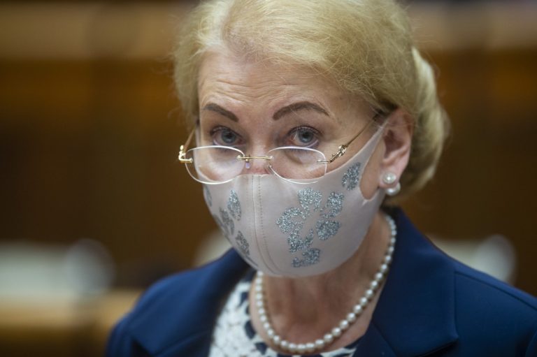 Anna Záborská, návrh, zákon, interupcie