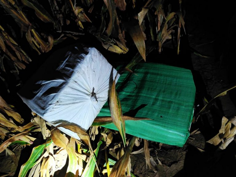 COLNÍCI: Zaistili nelegálne cigarety