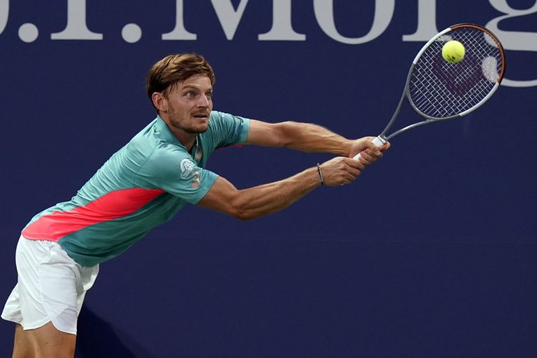David Goffin