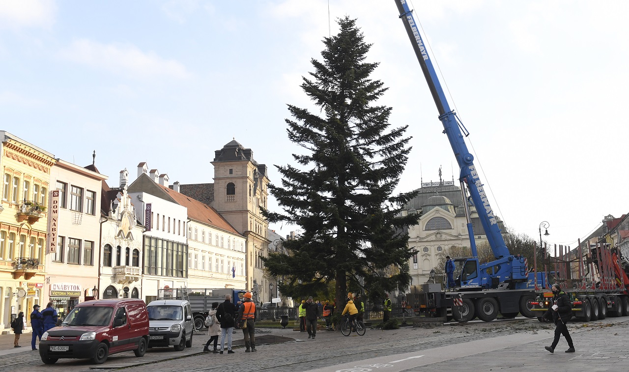 Osadenie vianočného stromu v Košiciach