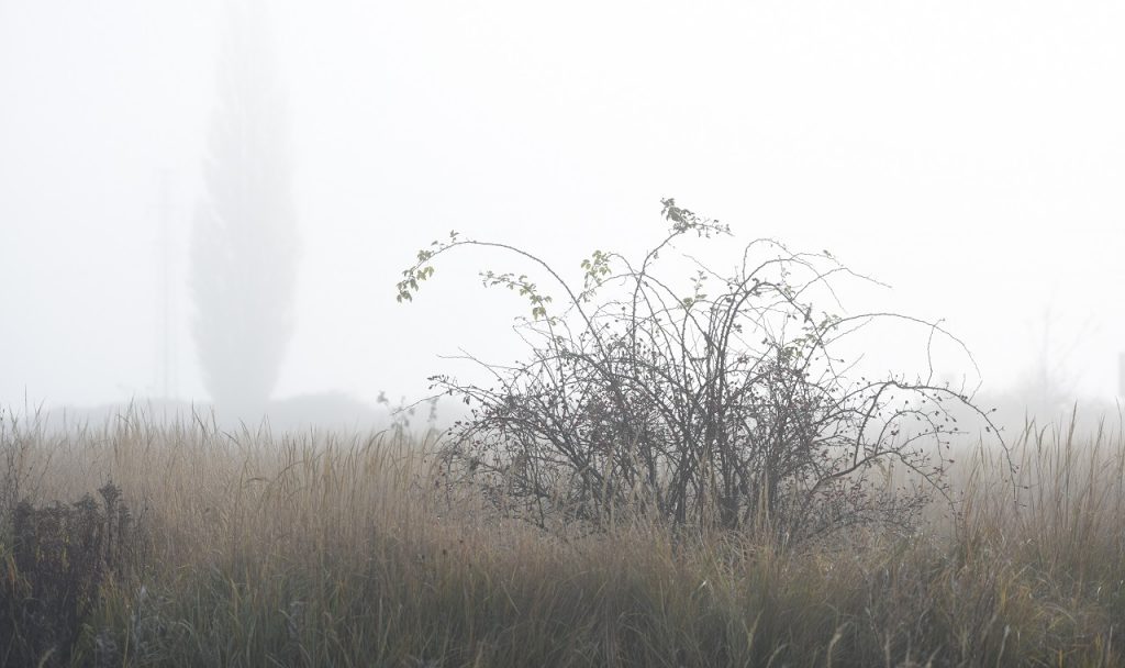 počasie jeseň hmla