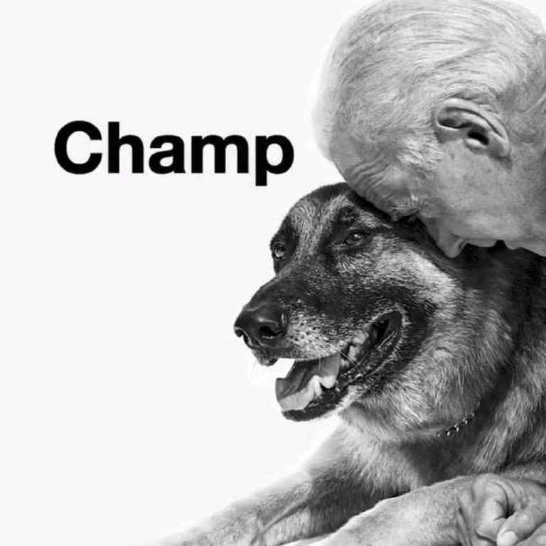 joe biden champ
