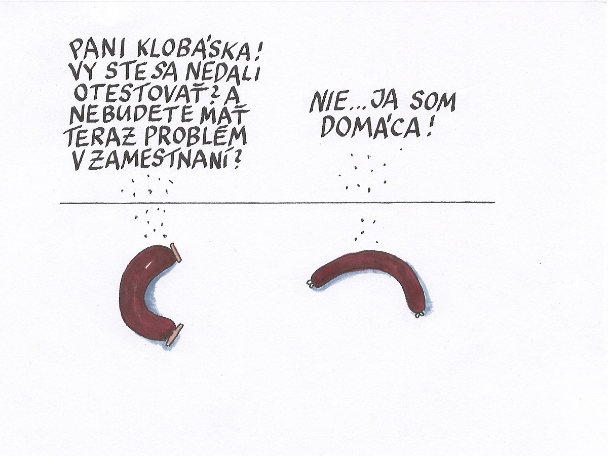 Karikatúra Andreja Mišanka