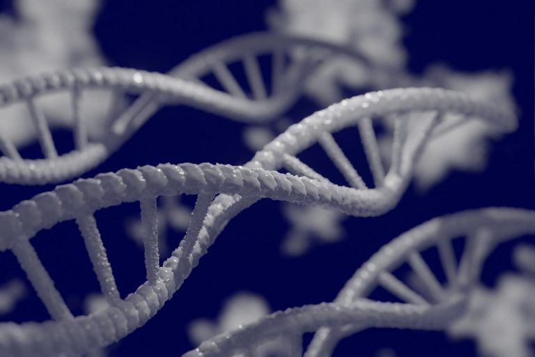 genetika, dna