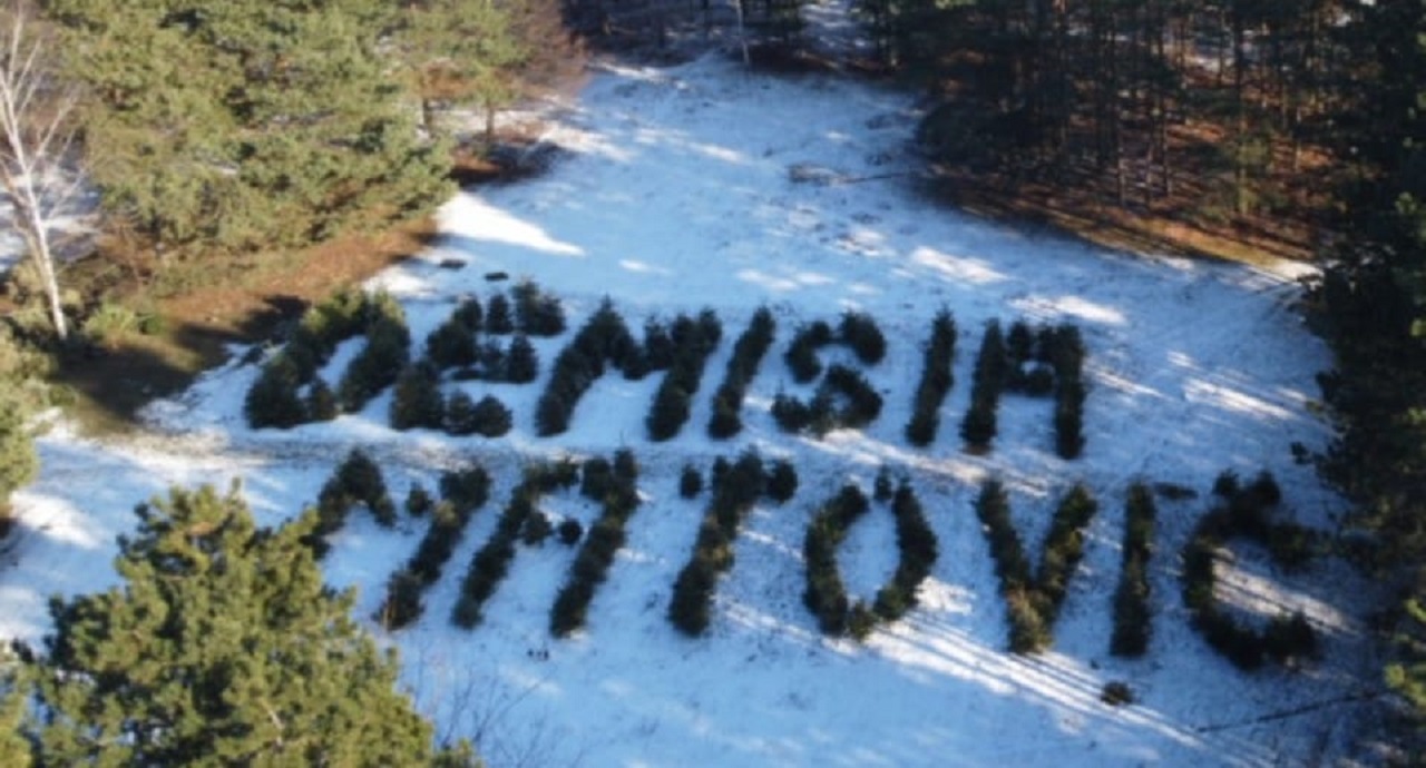 Hlina Demisia Matovič