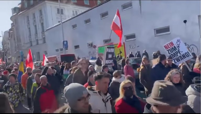 protesty_vieden