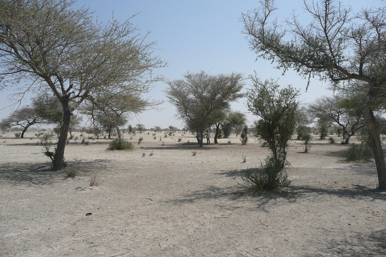 sahel