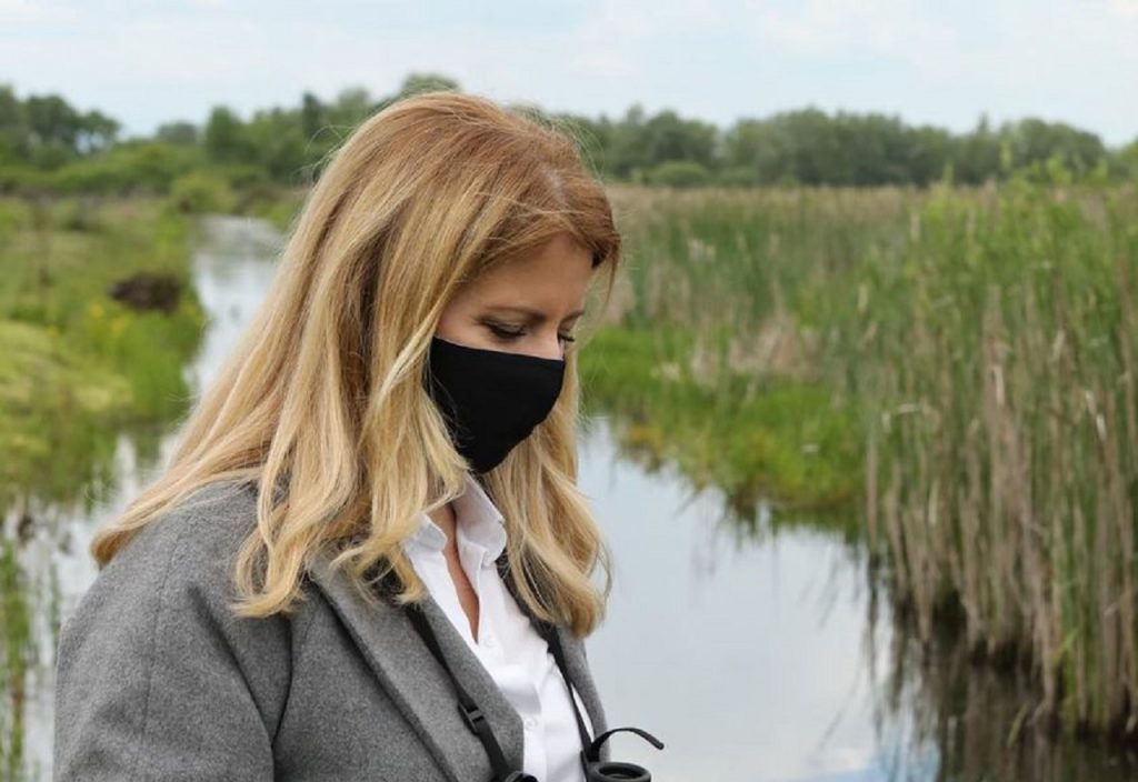 prezidentka, Zuzana Čaputová