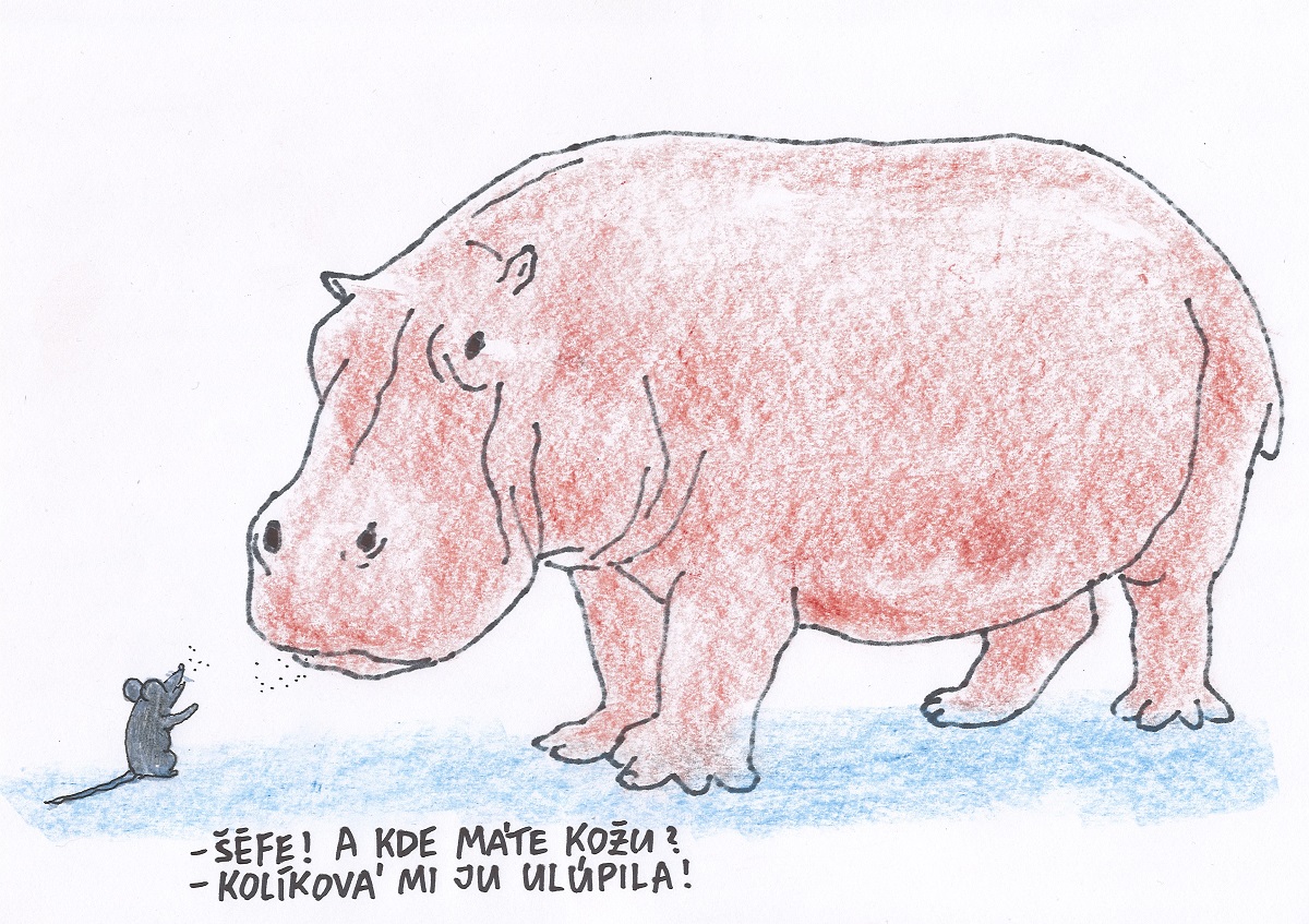 Karikatúra Andreja Mišanka