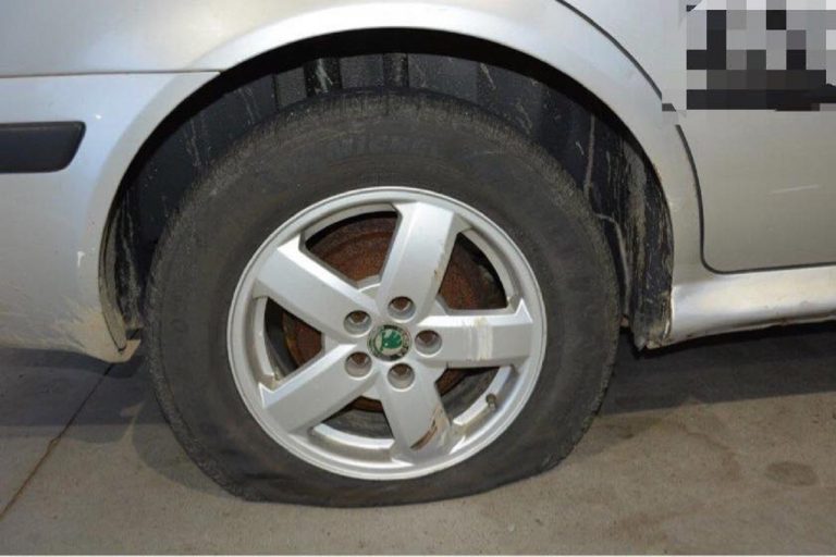 policajti na vodiča použili zbraň, zastavili auto