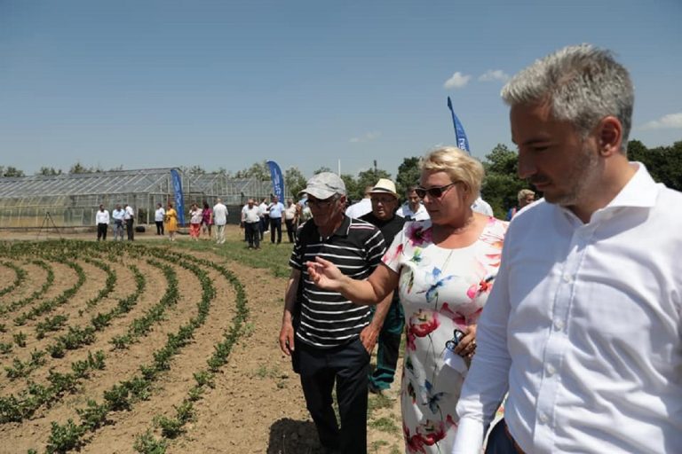 Trnka, Agrokruh