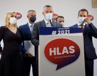 HLAS-SD