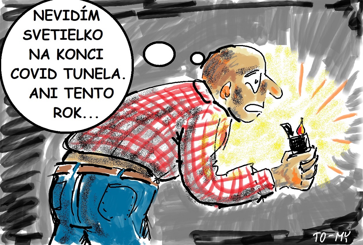Karikatúra Tomáša Stanislava