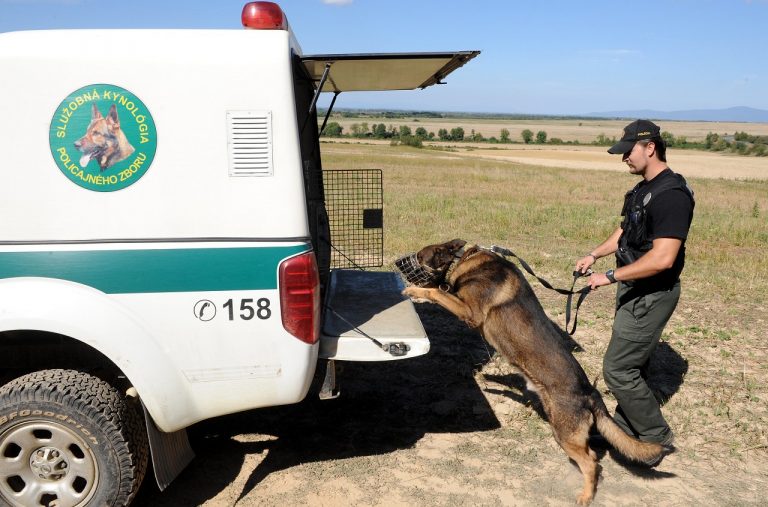 hranica, polícia