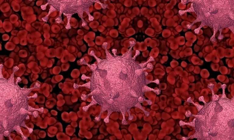 koronavirus