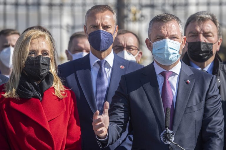 Referendum za predèasné vo¾by