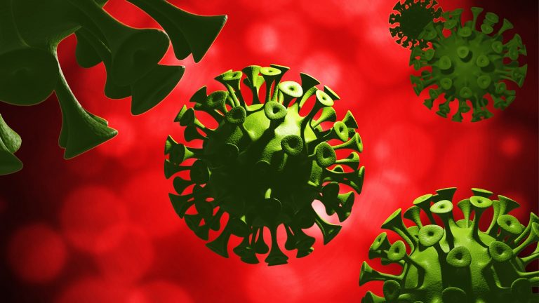 koronavirus