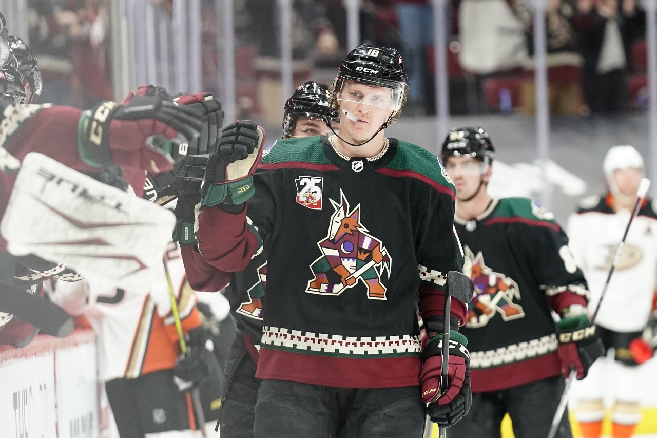 Arizona Coyotes