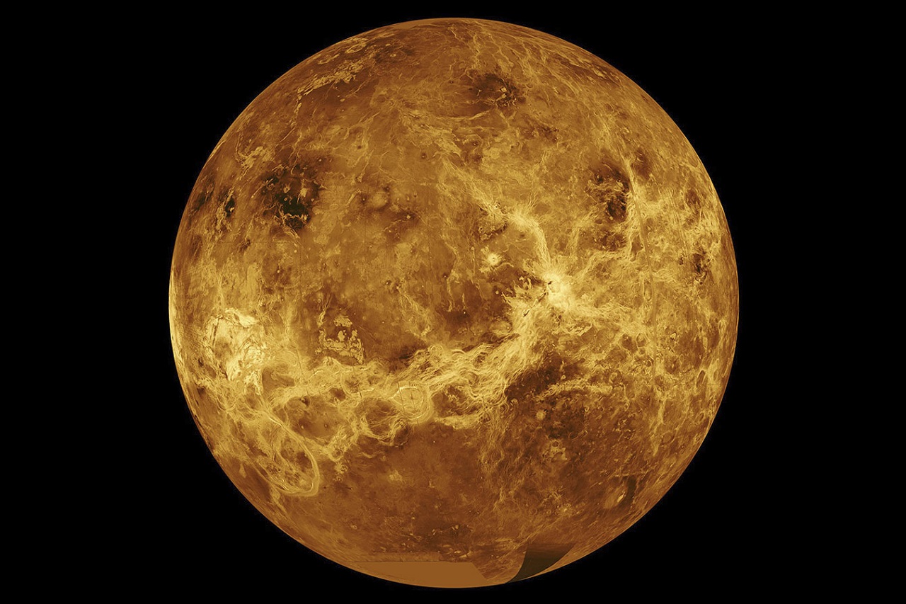 Venuša