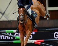 Ben Maher
