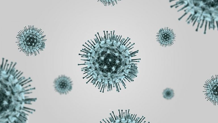 koronavirus