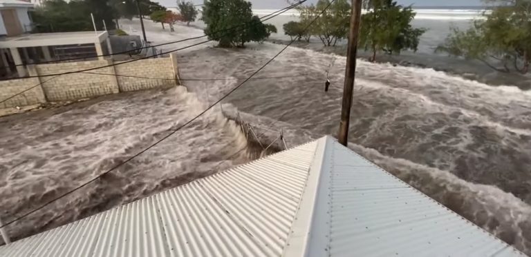 Cunami v Tongu