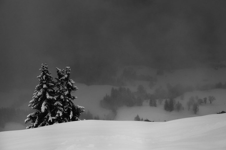 zima