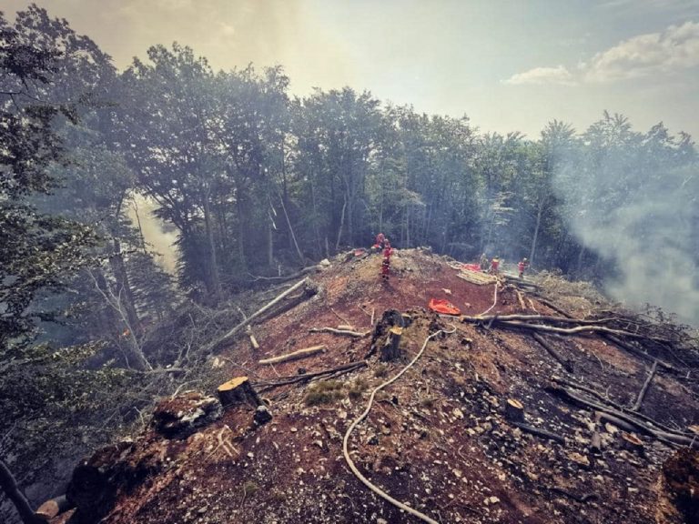 Hasiči lokalizovali lesný požiar pri Malej Lodine