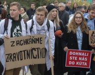 Protest Lekárskeho odborového združenia - Zachráňme zdravotníctvo