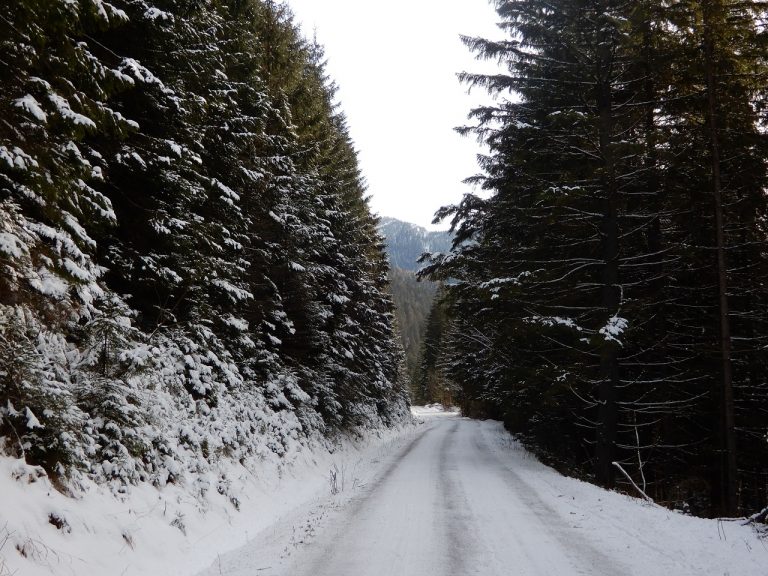 prostredie Národného parku Nízke Tatry