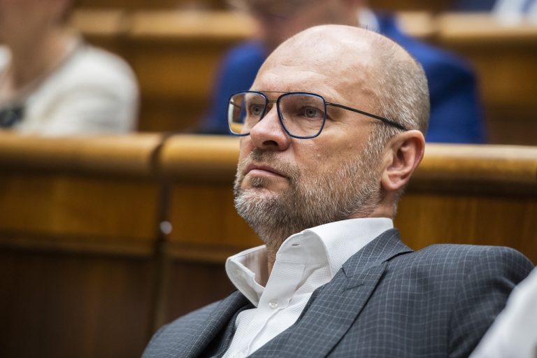 Richard Sulík (SaS)