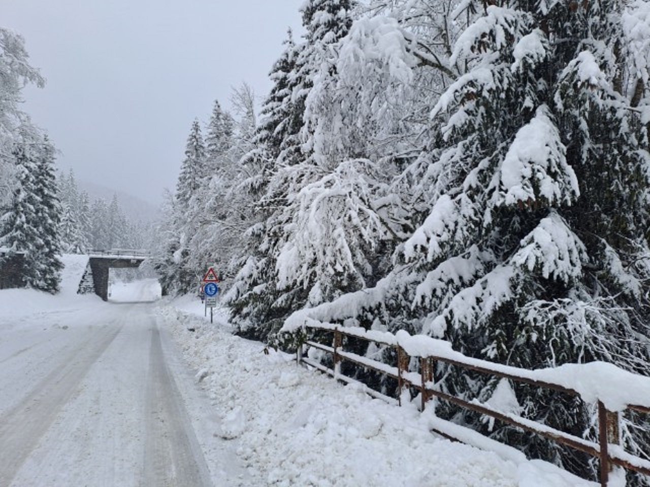 cesta, sneženie