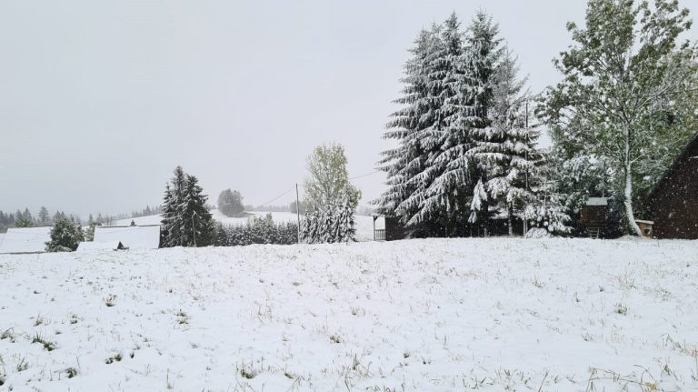 Oravská Lesná