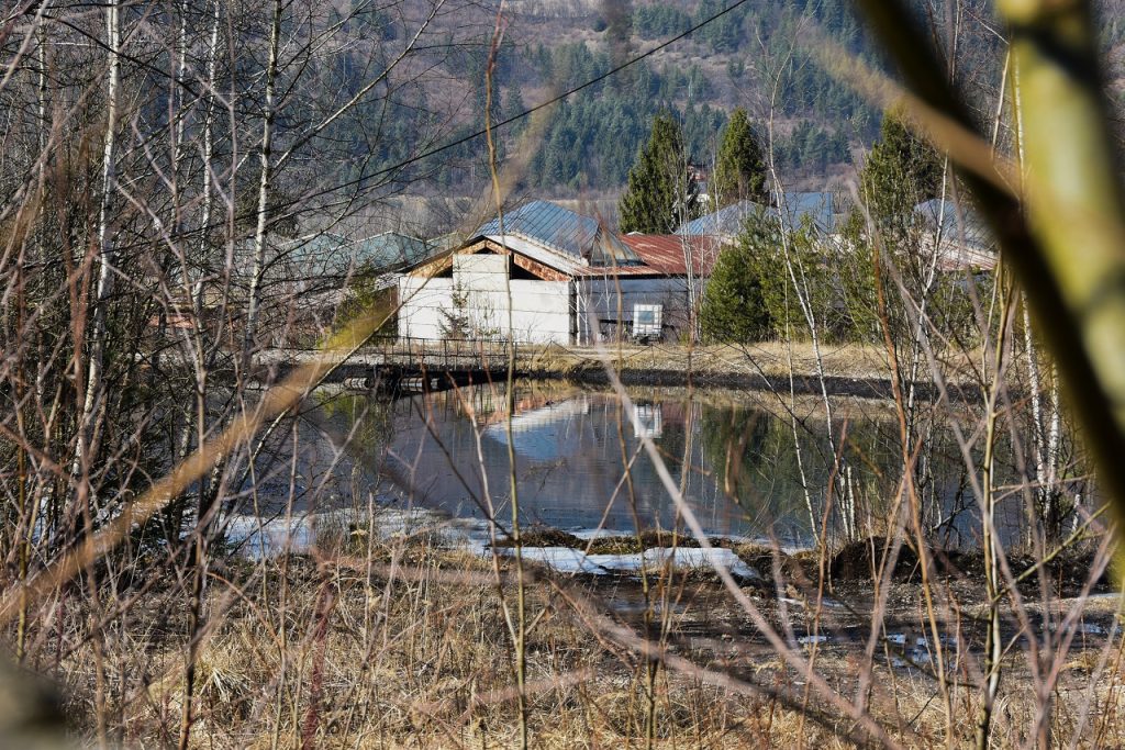 Nemecká