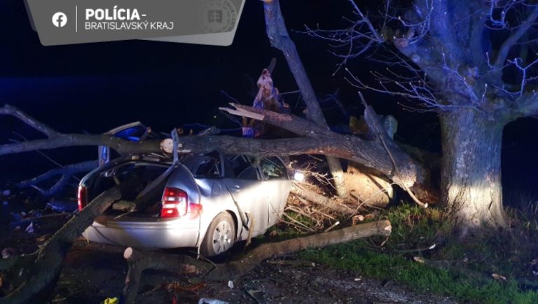 tragická nehoda strom