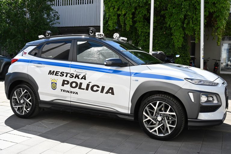 Mestská polícia