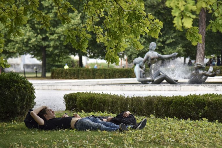 Prezidentská záhrada