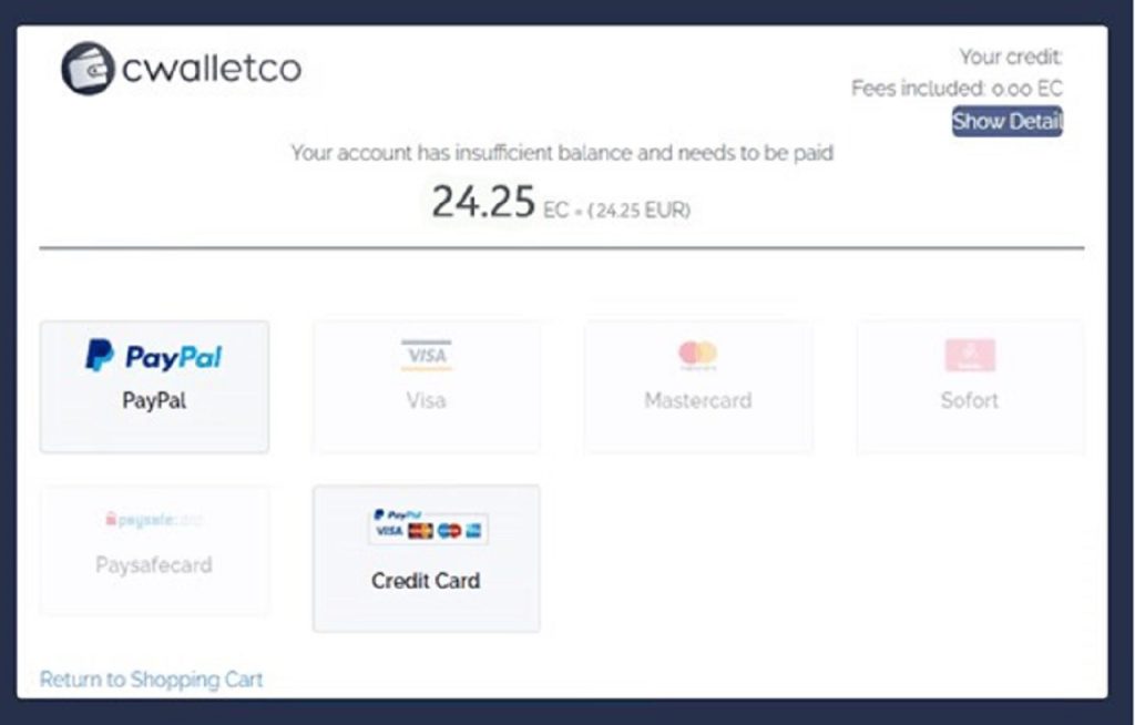 Finally, you can choose to use PayPal to complete the payment