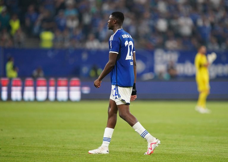 Hamburger SV - FC Schalke 04