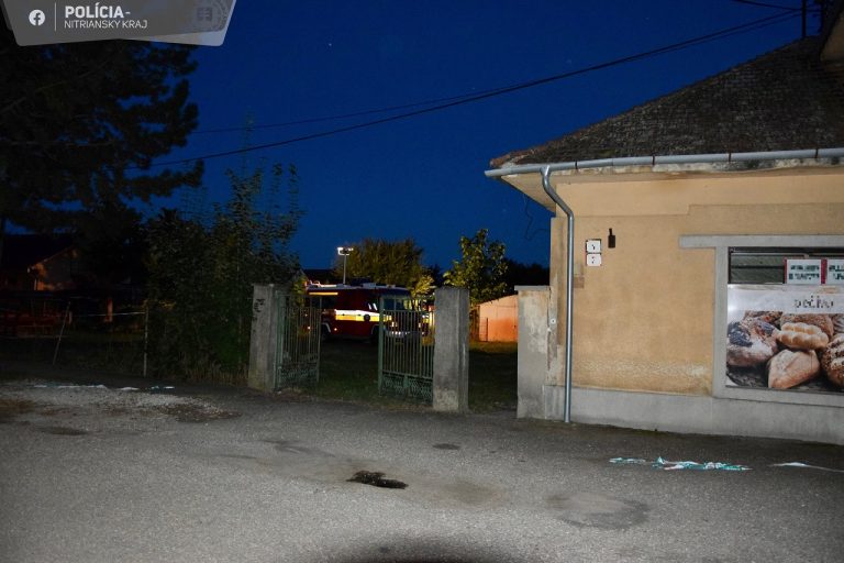 vražda