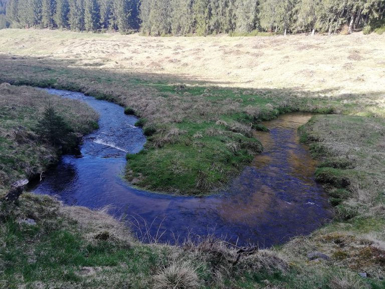 Meandre Kamenistého potoka Sihla