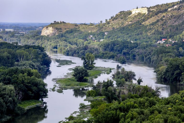 Rieka Morava z hradu Devín