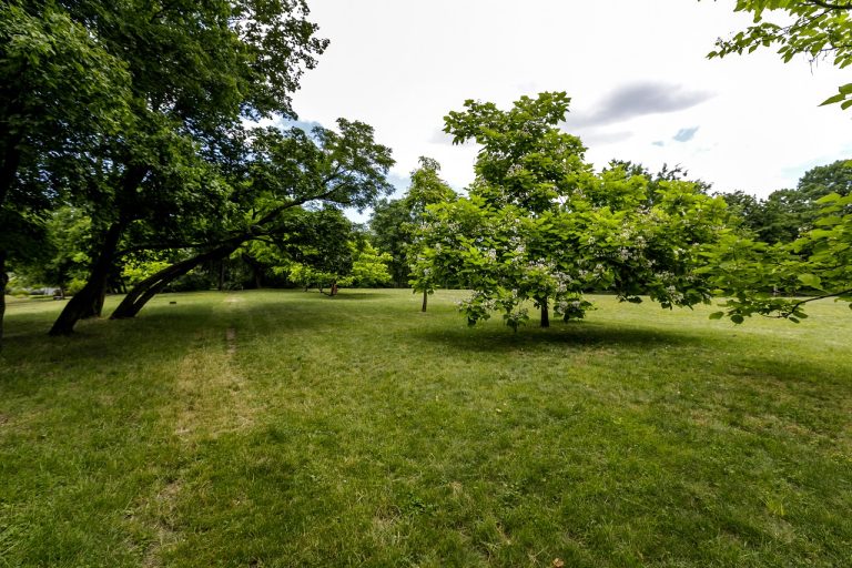 park
