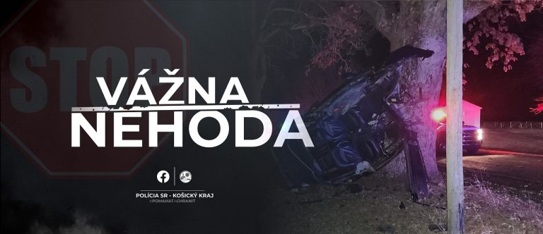 nehoda, polícia