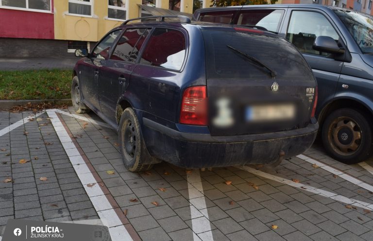 Opitá vodička Octavia vozidlo