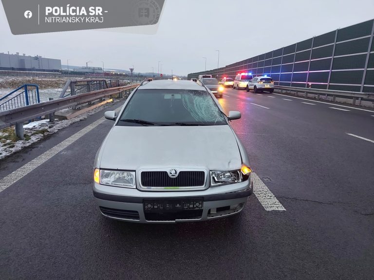 zrazený chodec auto